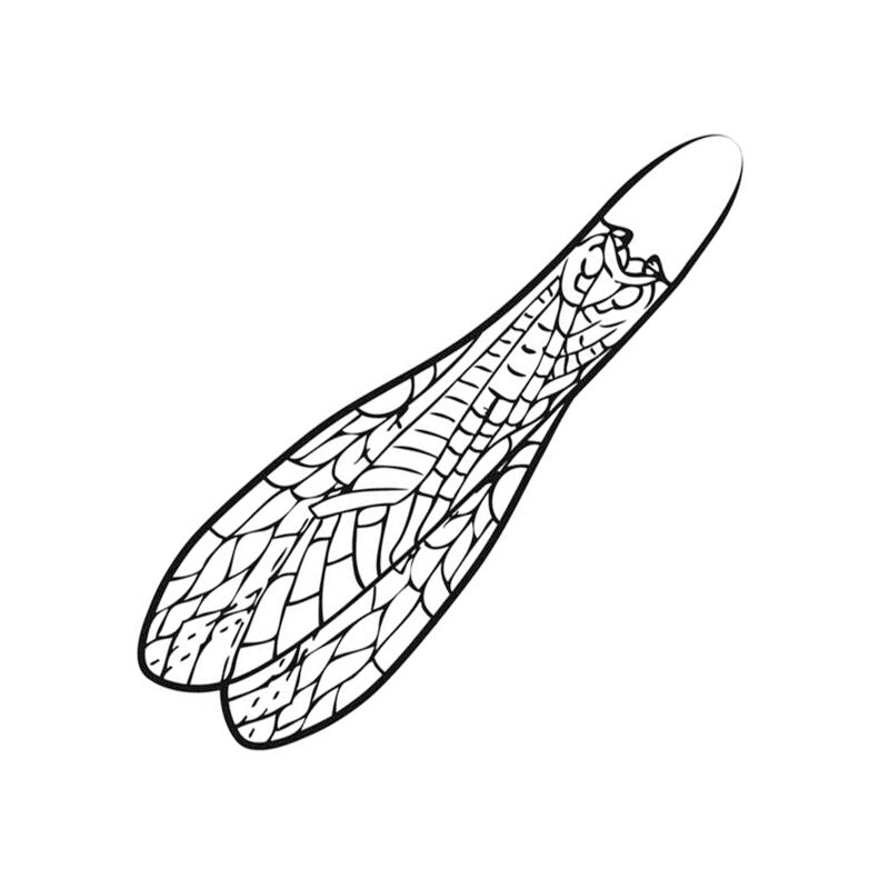 Pro Adult Stonefly Wings for fly tying in multiple sizes used to create realistic stonefly dry fly patterns