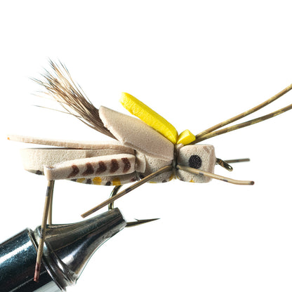 Project Hopper terrestrial grasshopper fly in size 6 for topwater smallmouth bass fly fishing.
