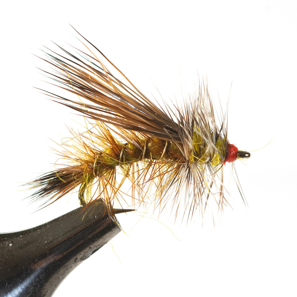 Stimulator Dry Fly, Olive