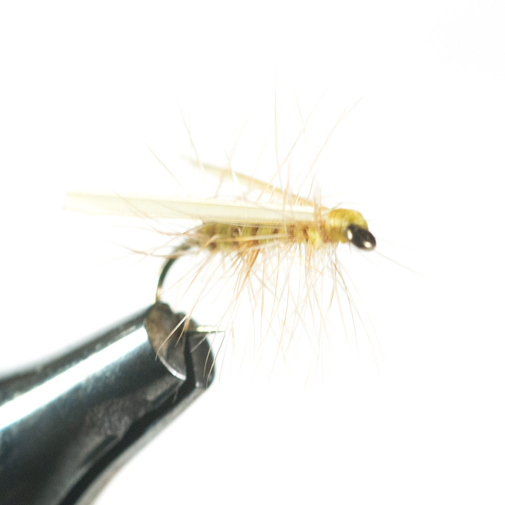 Murray's Little Yellow Stonefly Dry