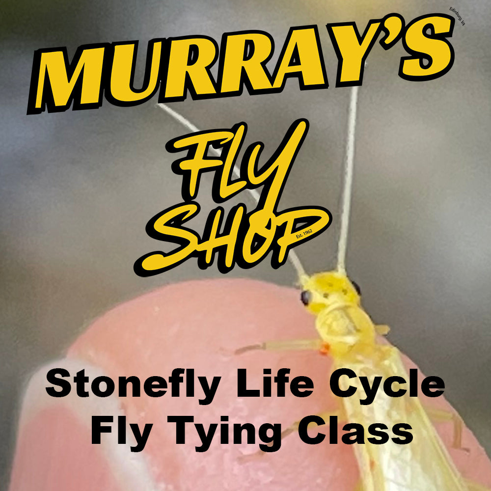 Advertisement for Murray's Fly Shop Stonefly Life Cycle Fly Tying Class with a close-up of a Little Yellow Stonefly.