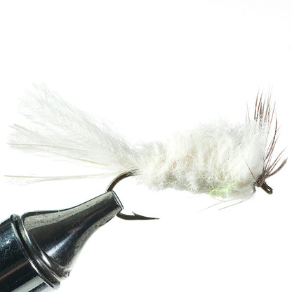 Murray's Strymph, Cream