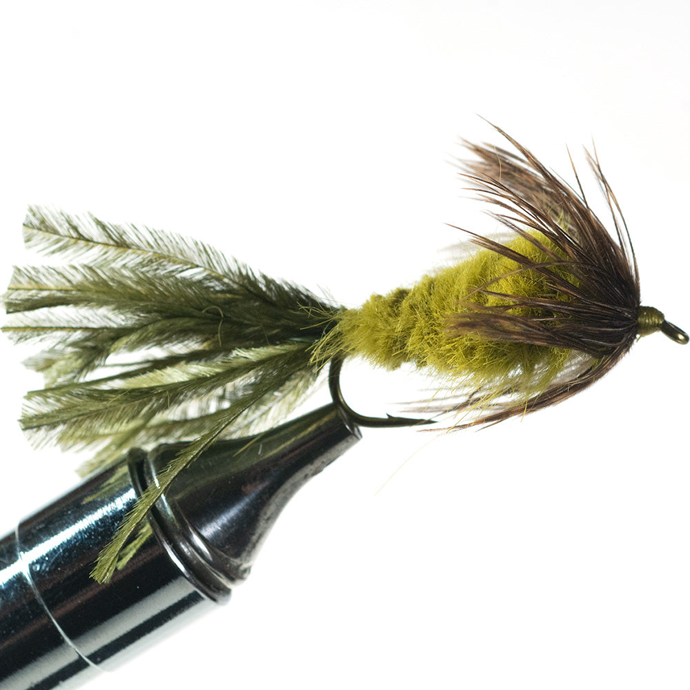 Murray's Strymph olive