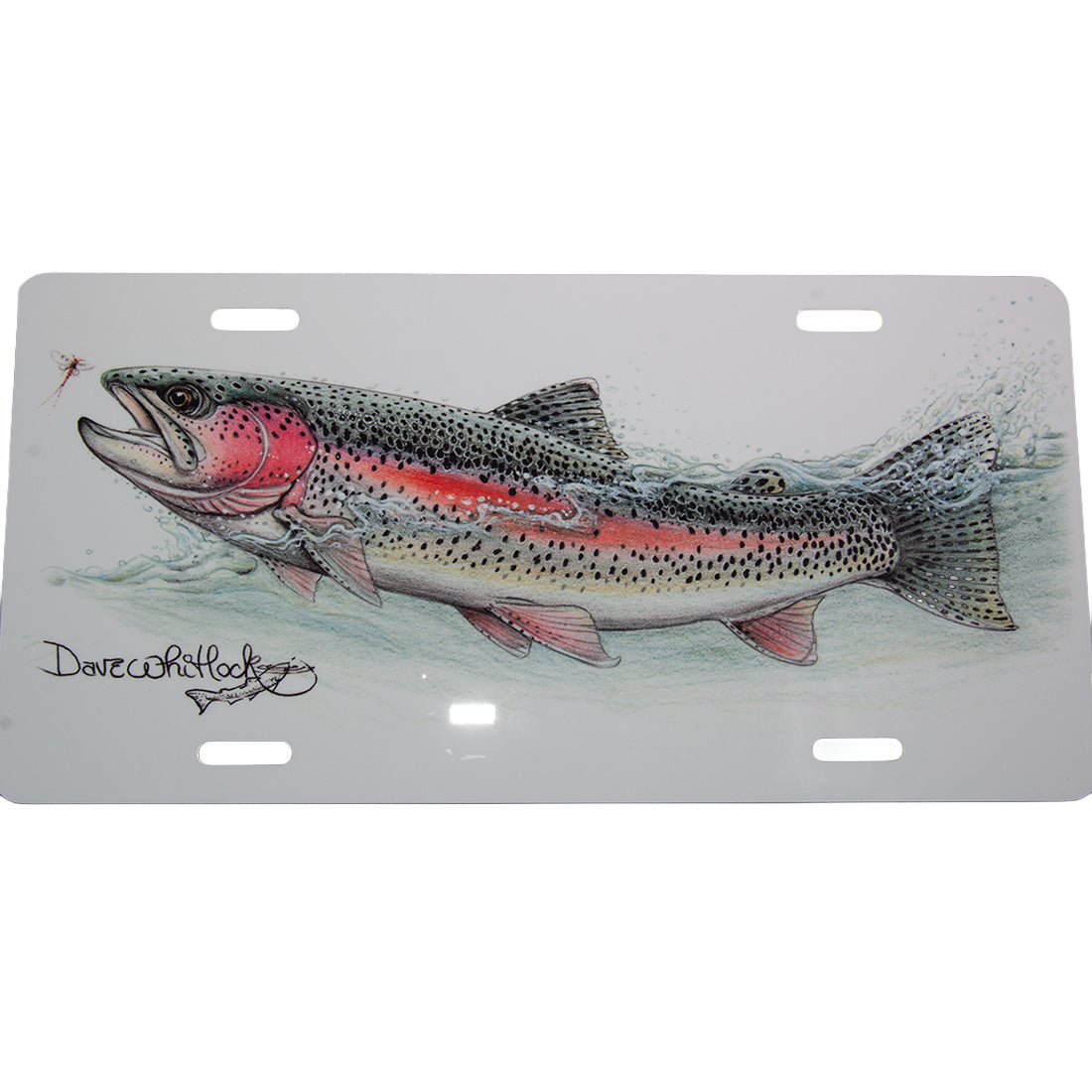 Dave Whitlock's license plate featuring his drawing of a rainbow trout.
