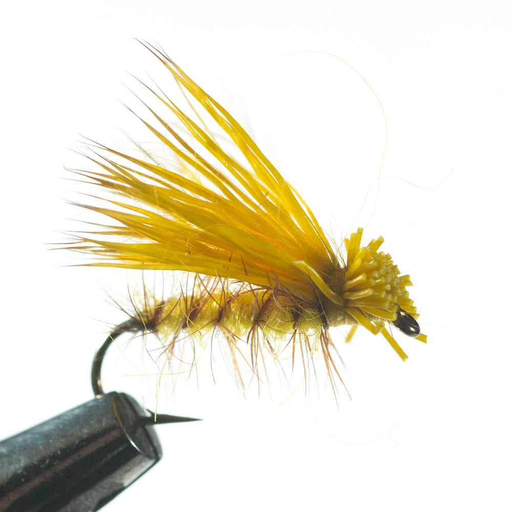 Murray's Yellow Jacket Dry Fly