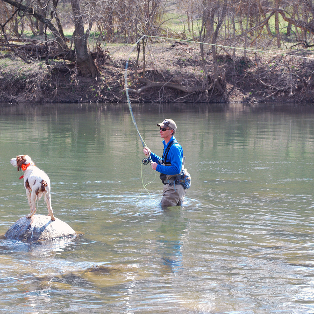 Fly Fishing for Trout with Harry Murray Digital Download