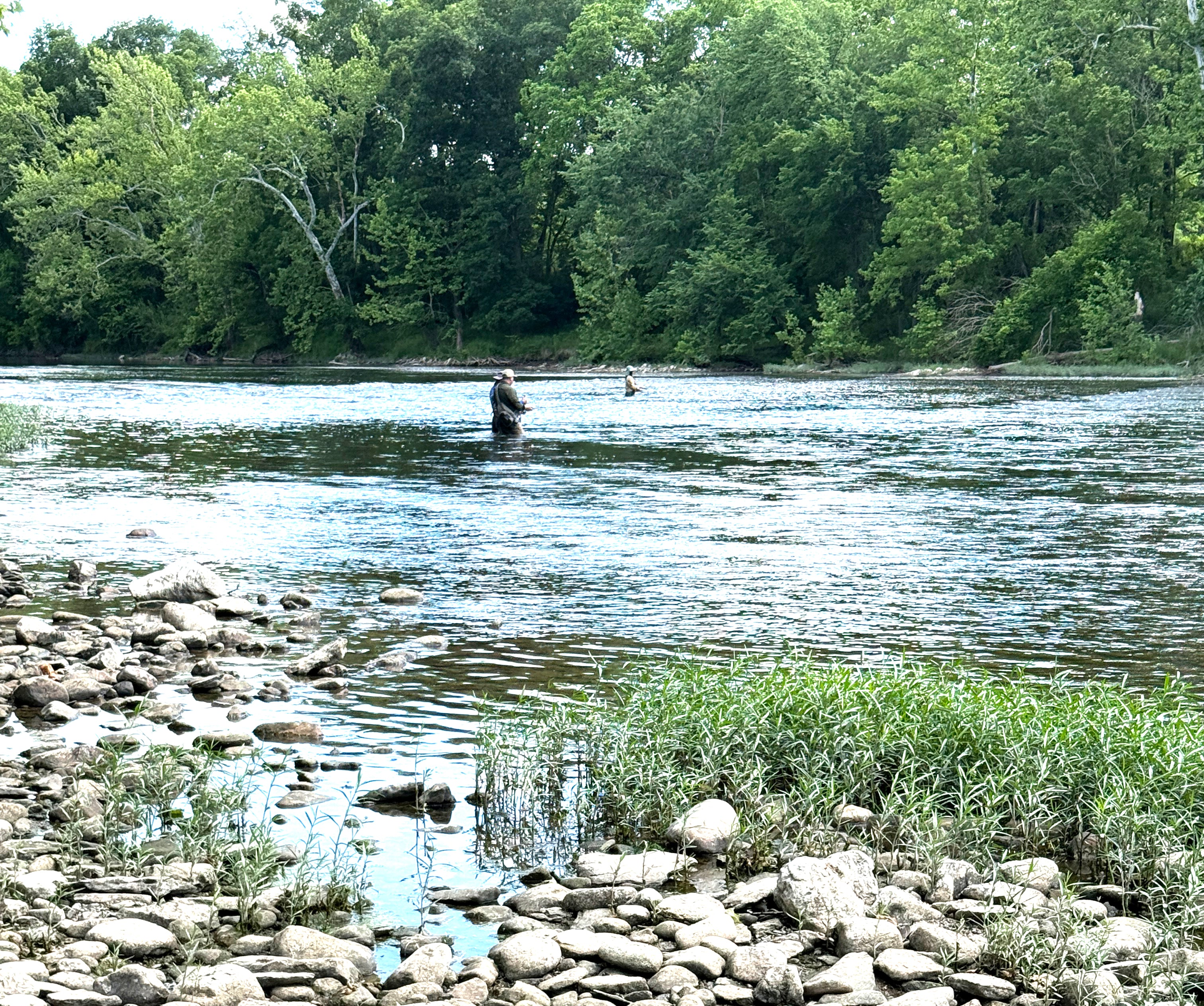 Learn to fly fish in our On the Stream fly fishing schools