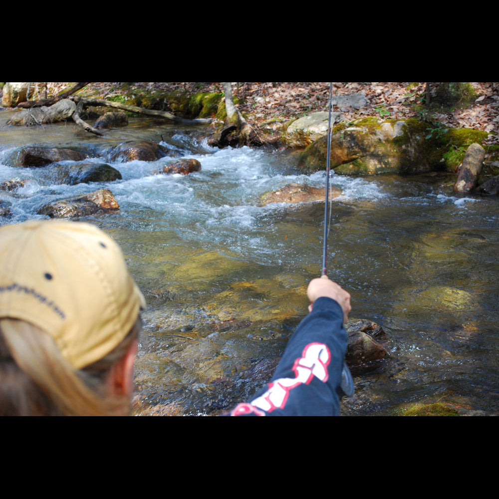 Trout Articles Murray's Fly Shop