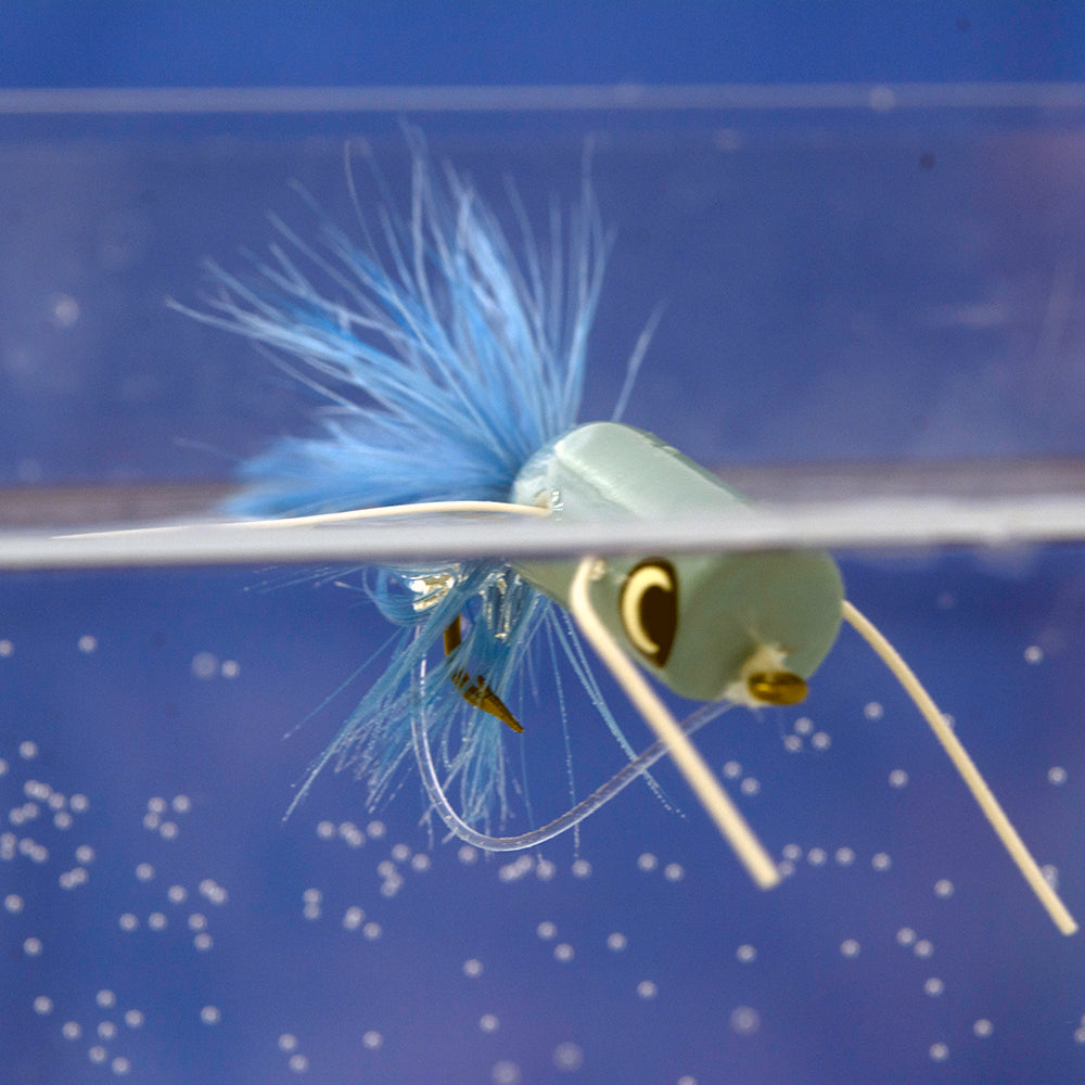 Fly Fishing for Trout with Harry Murray Digital Download