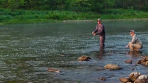 Smallmouth Bass Full Day Fly Fishing School