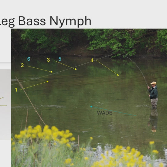 Harry Murray's video on how to fly fish with the Rubber Leg Nymph for smallmouth bass
