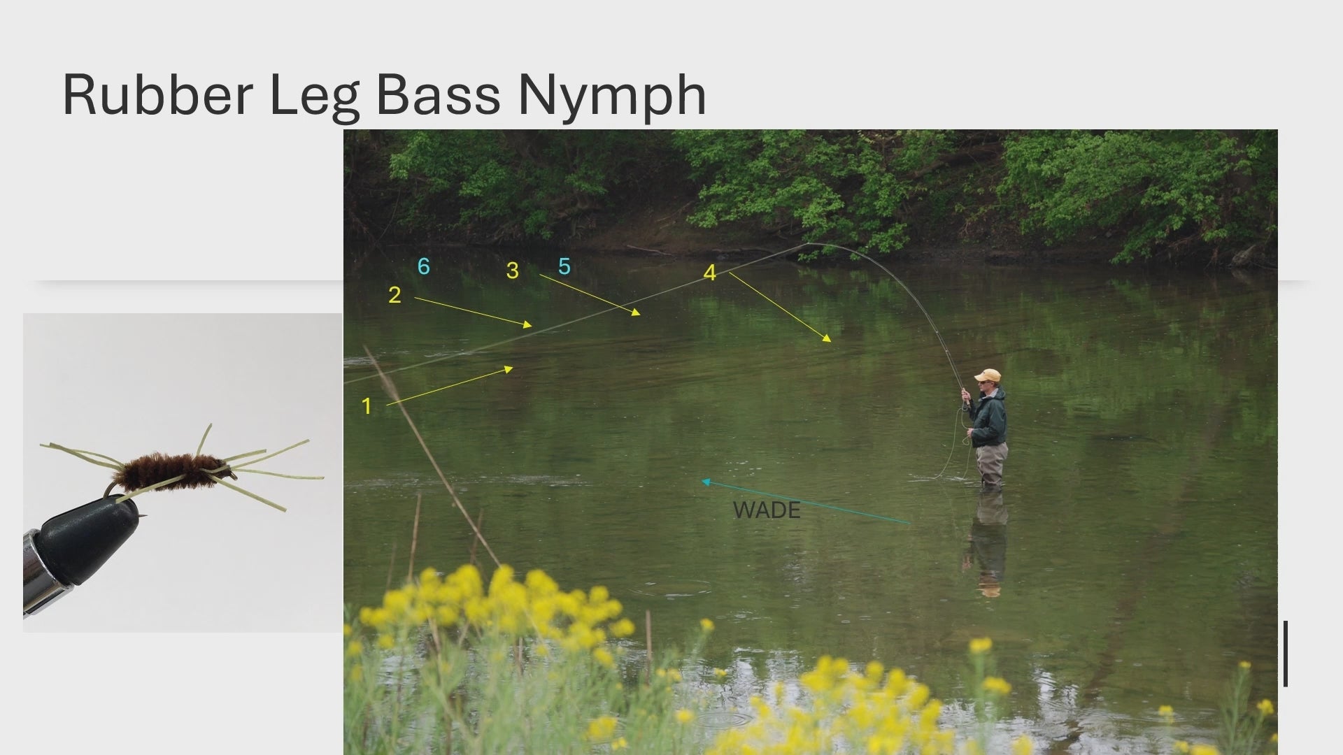 Harry Murray's video on how to fly fish with the Rubber Leg Nymph for smallmouth bass
