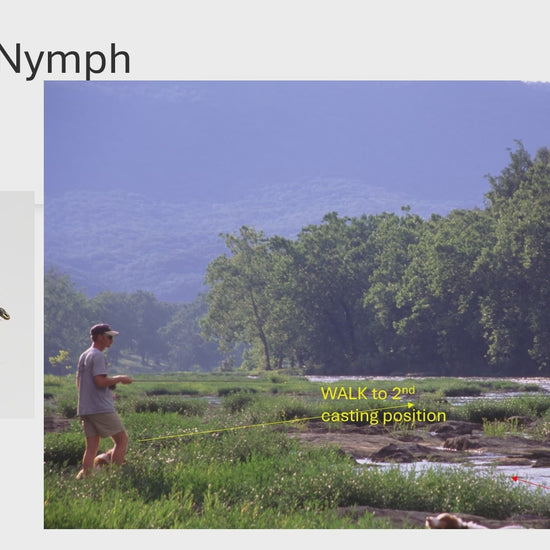 Harry Murray's video on how to fish a Damsel Nymph for smallmouth bass around the grass beds