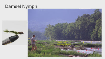 Harry Murray's video on how to fish a Damsel Nymph for smallmouth bass around the grass beds