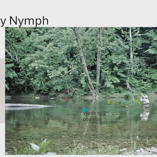 Harry Murray's video on techniques for fly fishing with a Dragonfly Nymph for smallmouth bass