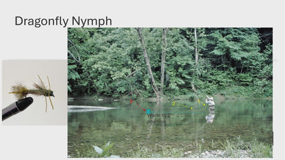 Harry Murray's video on techniques for fly fishing with a Dragonfly Nymph for smallmouth bass