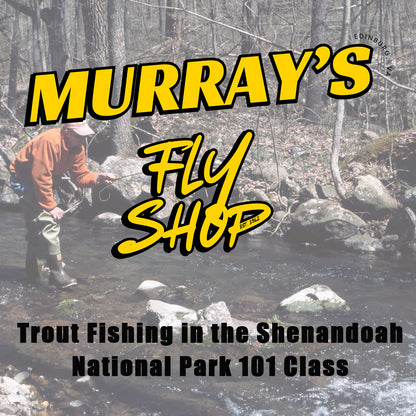 Trout Fishing in the Shenandoah National Park 101 Classroom discussion offered at Murray's Fly Shop