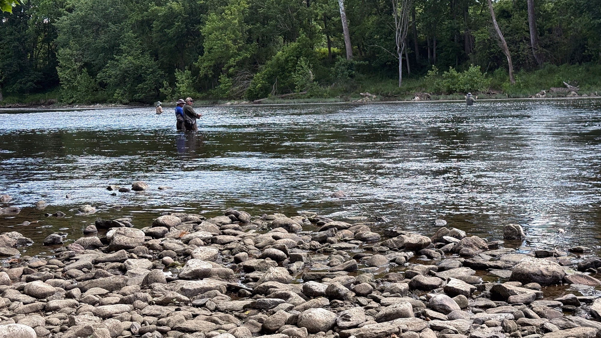 Shenandoah River Virginia showing beginner anglers in our Smallmouth Bass Fly Fishing Schools on the stream portion of our one day class.  Showing anglers wading and fishing in the river