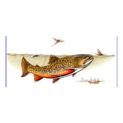 Dave Whitlock's drawing of a brook trout