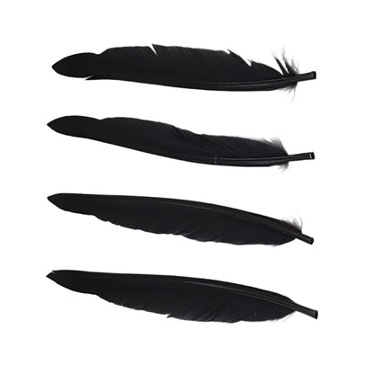 Duck Quills in black for fly tying