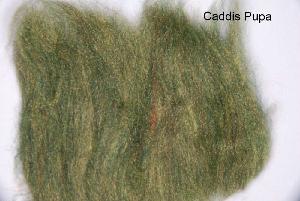 caddis pupa