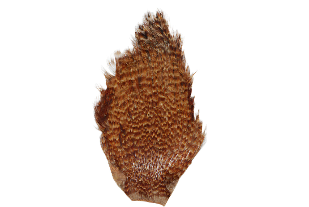 Ginger Grizzly