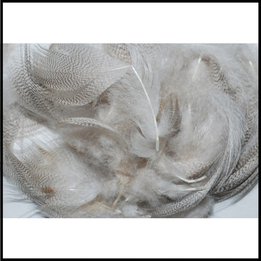 Natural Grey Mallard Flanks Package - Murray's Fly Shop