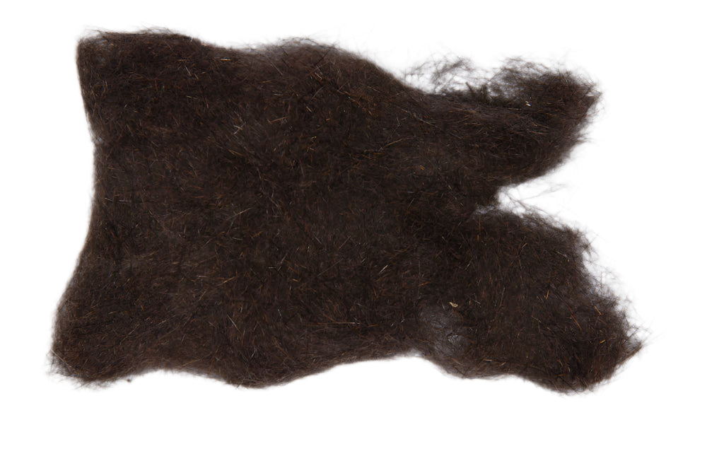 Natural Black Squirrel
