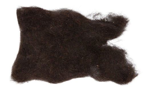 Natural Black Squirrel