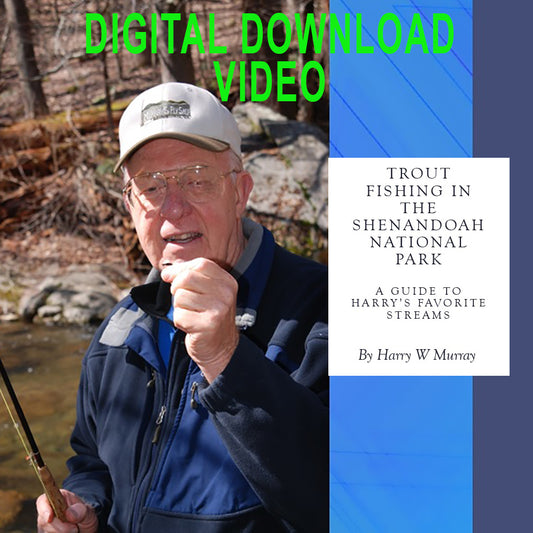 Digital Download Video--Trout Streams in the Shenandoah National Park