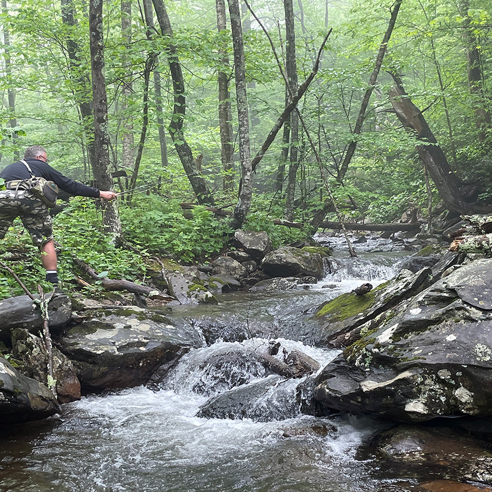 Small Stream Brook Trout fly fishing Virginia - Murray's Fly Shop