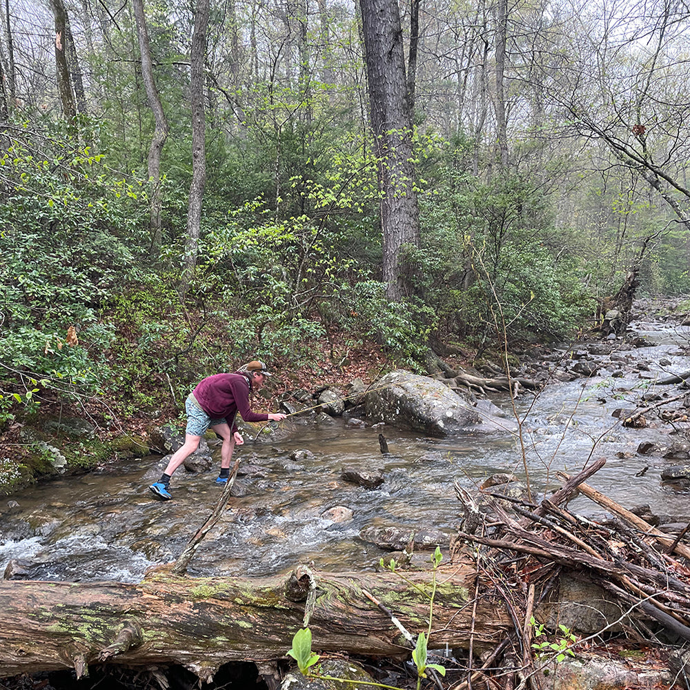 Virginia Native Brook Trout Fly Fishing Schools - Lean to fly fish Virginia - Murray's Fly Shop