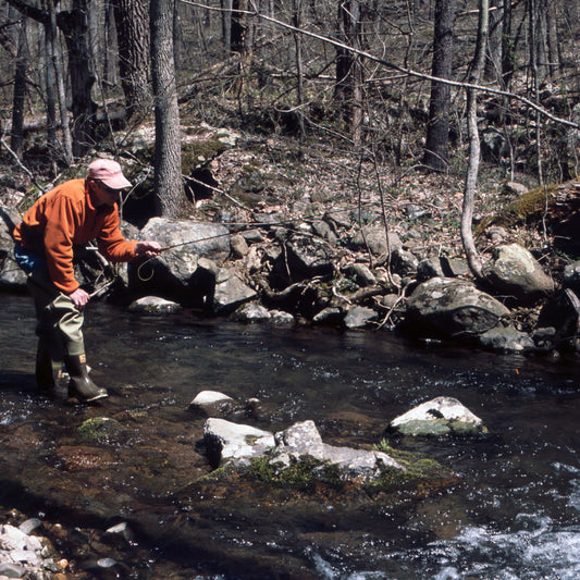 Trout Fishing in the Shenandoah National Park 101