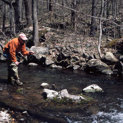Trout Fishing in the Shenandoah National Park 101 is a classroom discussion held at Murray's Fly Shop offering tips on fly fishing for native brook trout
